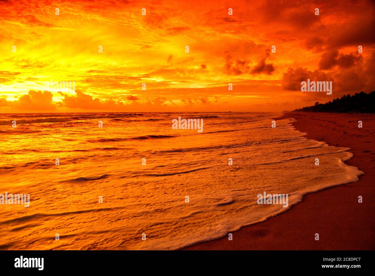 Sri Lanka, Provincia Orientale, Nilaveli, spiaggia costiera all'alba Foto Stock