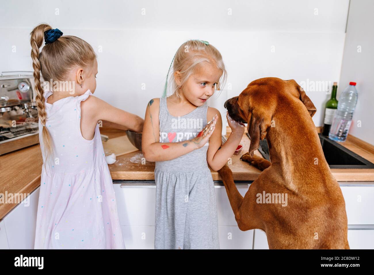 Ragazza che gioca con il cane mentre sorella prepara il cibo in cucina a casa Foto Stock