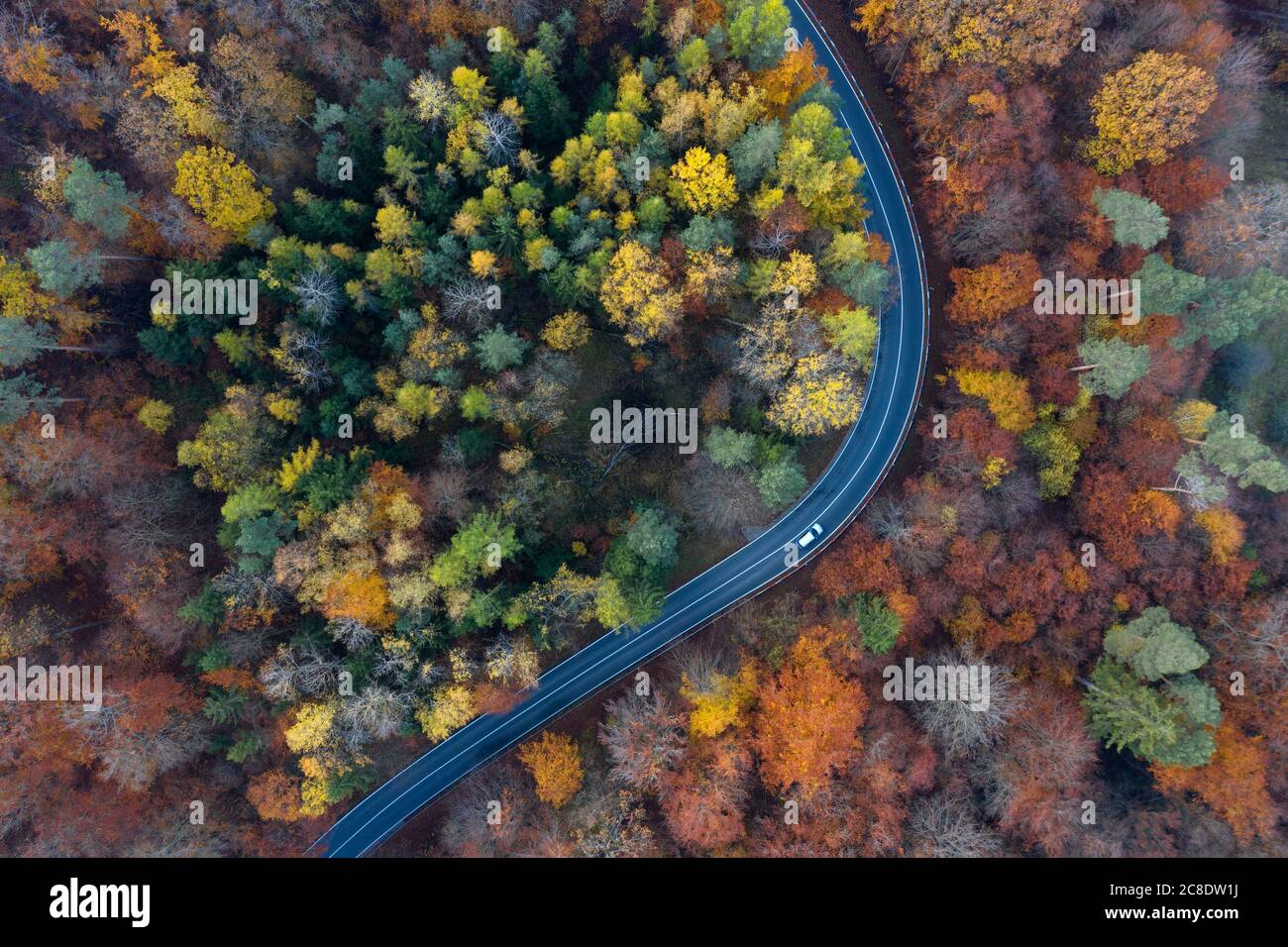 Germania, Baviera, drone vista di strada di campagna tortuosa che taglia attraverso la foresta autunnale in Steigerwald Foto Stock