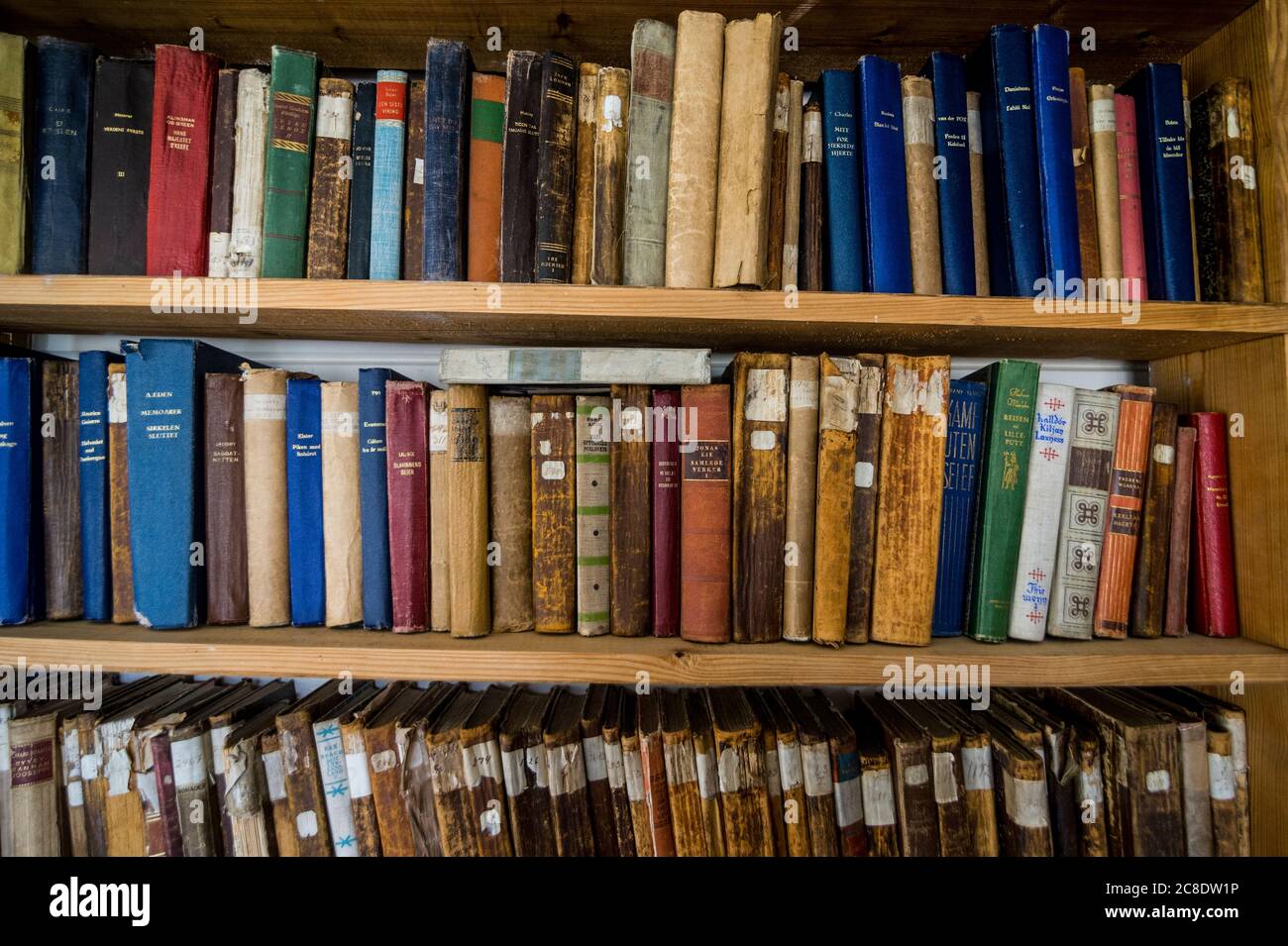 Regno Unito, Georgia del Sud e Isole Sandwich del Sud, Grytviken, Libri in piccola vecchia biblioteca Foto Stock