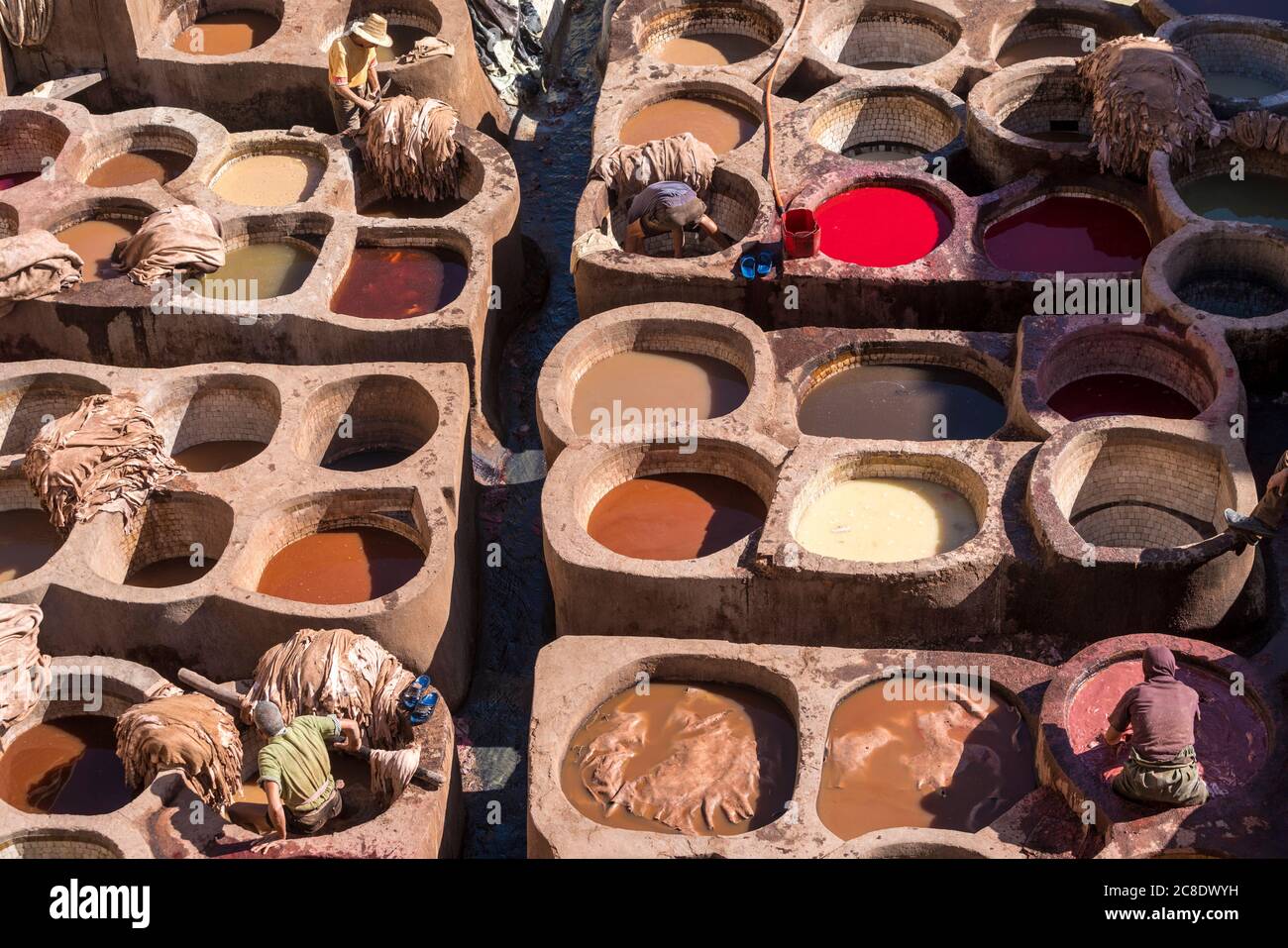 Marocco, Fez, persone che lavorano a Chouara Tannery Foto Stock