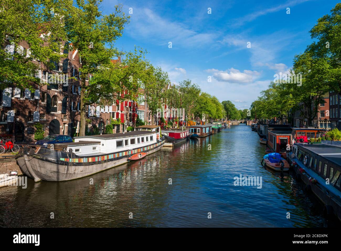 Paesi Bassi, Provincia dell'Olanda del Nord, Amsterdam, Case canale su Brouwersgracht Foto Stock