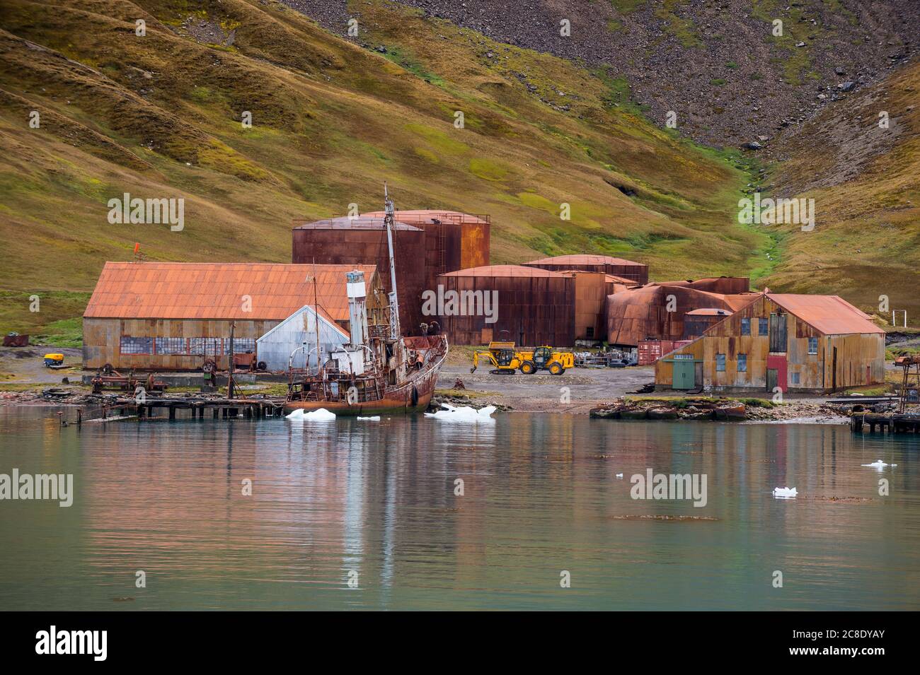 Regno Unito, Georgia del Sud e Isole Sandwich meridionali, Grytviken, stazione di caccia alle balene abbandonata a King Edward Cove Foto Stock