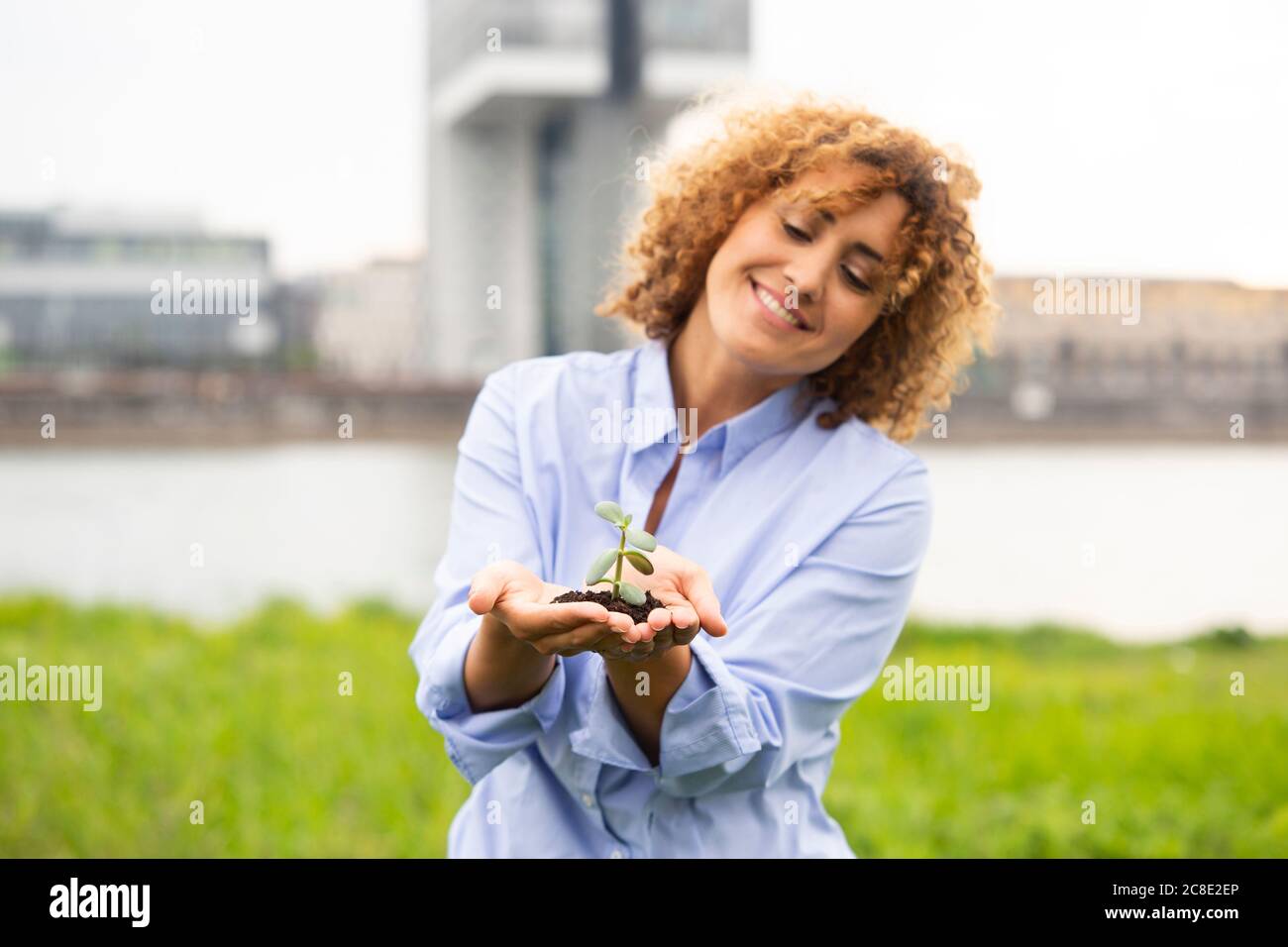 Donna d'affari sorridente con i capelli ricci che tengono la pianta piccola mentre in piedi contro il cielo in città Foto Stock