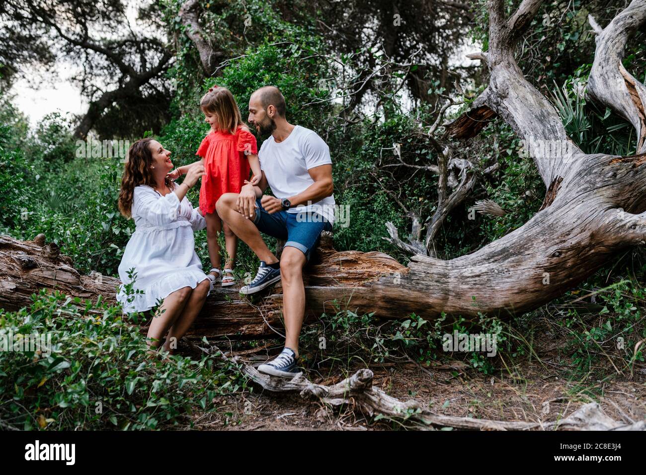 Famiglia rilassante su albero caduto in foresta Foto Stock