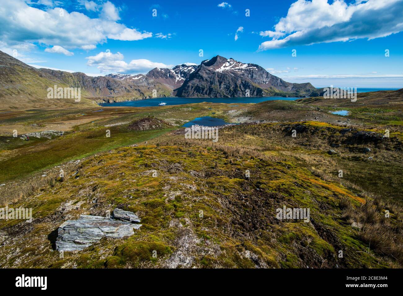 Regno Unito, Georgia del Sud e Isole Sandwich del Sud, paesaggio costiero della baia di Godthul Foto Stock