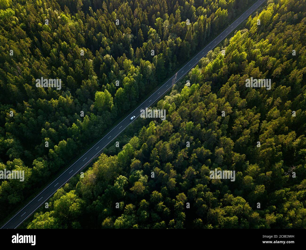 Russia, Leningrado Oblast, Tikhvin, veduta aerea di auto che guidano lungo strada asfaltata tagliando attraverso una vasta foresta verde Foto Stock