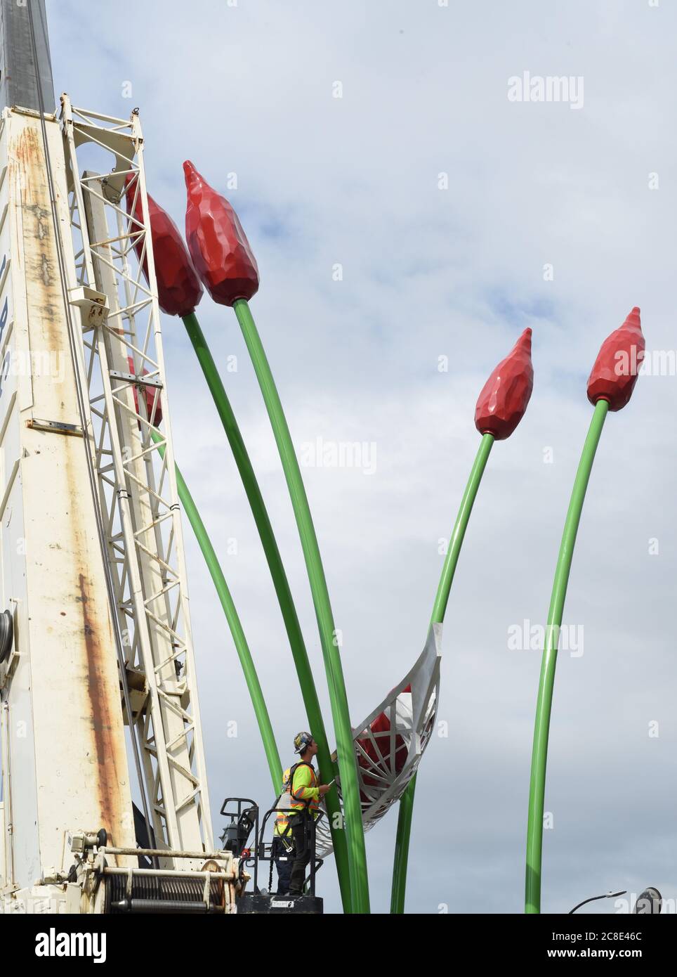 Victoria, British Columbia, Canada 23 luglio 2020 - UN equipaggio installa la scultura Commerce Canoe dell'artista Illarion Gallant nella sua nuova posizione all'estremità del centro di Johnson Street Bridge . La scultura raffigura una barca tenuta in alto da cinque canne verdi rosse. Alamy Live News/Don Denton Foto Stock