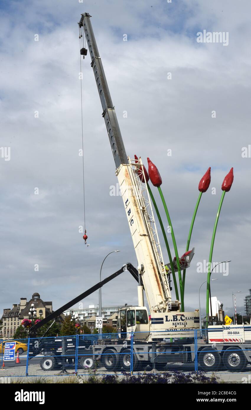 Victoria, British Columbia, Canada 23 luglio 2020 - UN equipaggio installa la scultura Commerce Canoe dell'artista Illarion Gallant nella sua nuova posizione all'estremità del centro di Johnson Street Bridge . La scultura raffigura una barca tenuta in alto da cinque canne verdi rosse. Alamy Live News/Don Denton Foto Stock