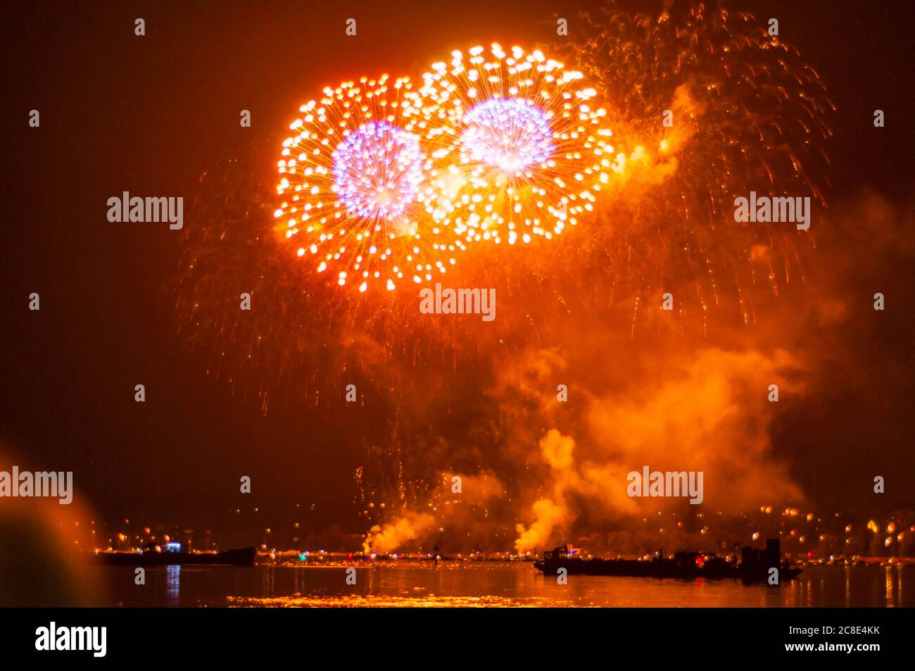 Germania, Baden-Wurttemberg, Konstanz, esposizione di fuochi d'artificio durante il festival notturno del lago di Costanza Foto Stock