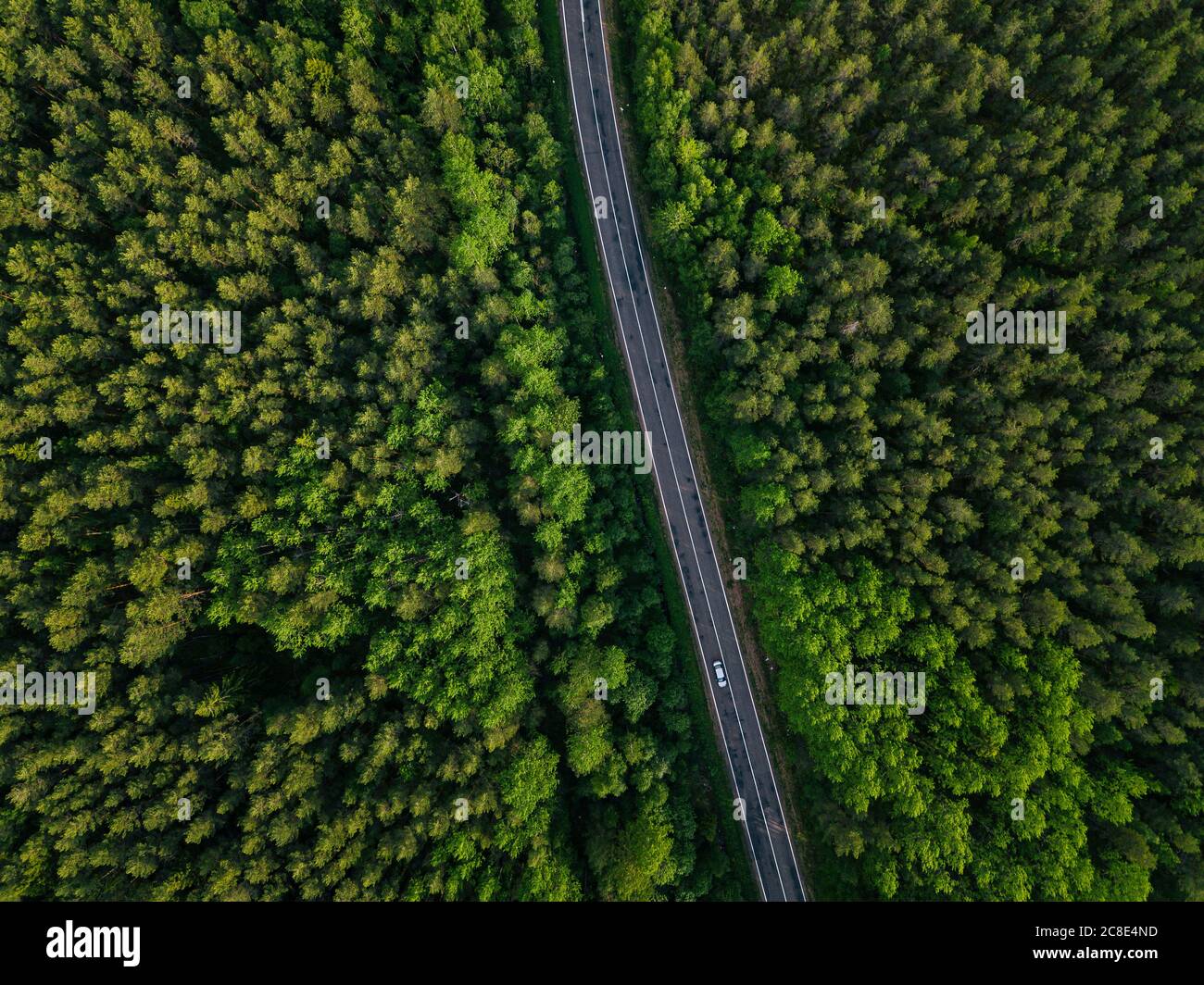 Russia, Leningrado Oblast, Tikhvin, vista aerea di asfalto strada che taglia attraverso la vasta foresta verde Foto Stock