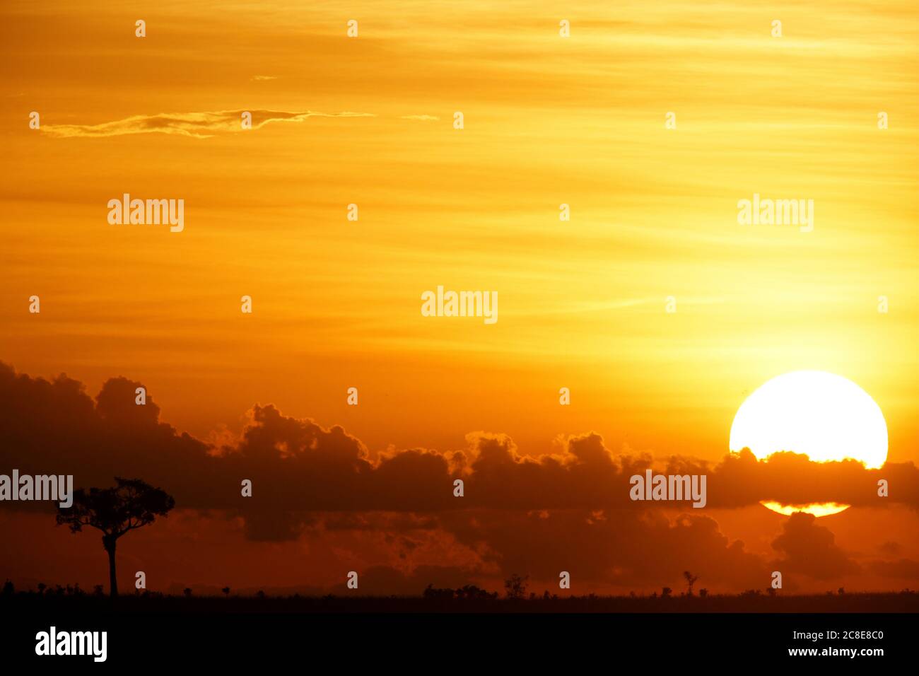 Repubblica Democratica del Congo, Parco Nazionale di Garamba al tramonto Foto Stock