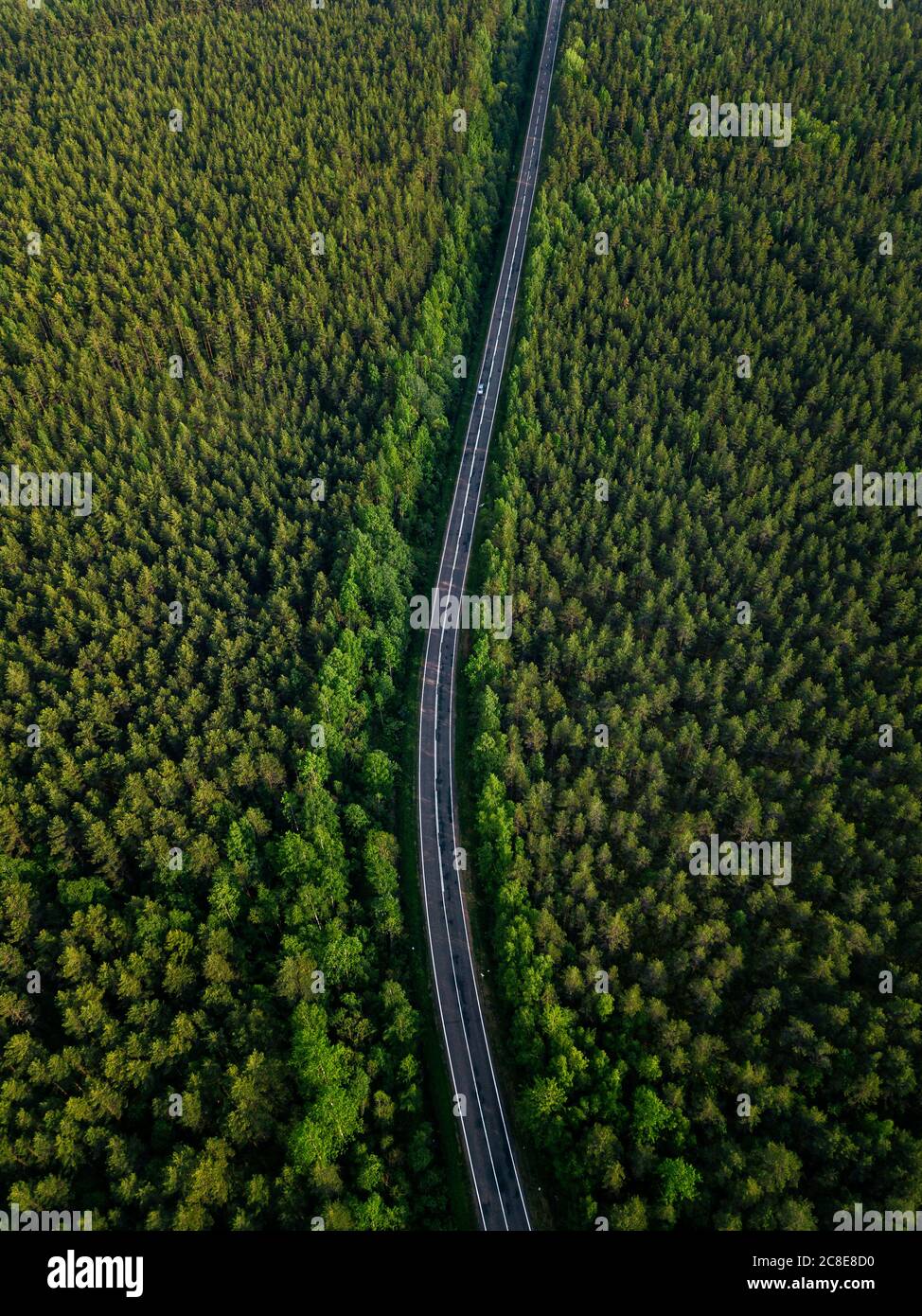 Russia, Leningrado Oblast, Tikhvin, vista aerea di asfalto strada che taglia attraverso la vasta foresta verde Foto Stock