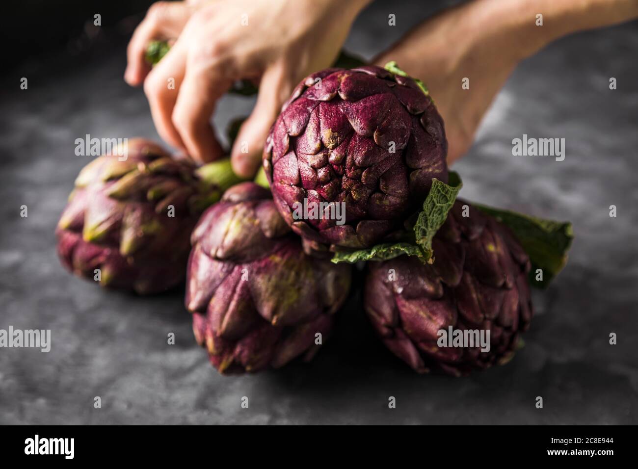 Mani di donna che raccolgono carciofi, primo piano Foto Stock