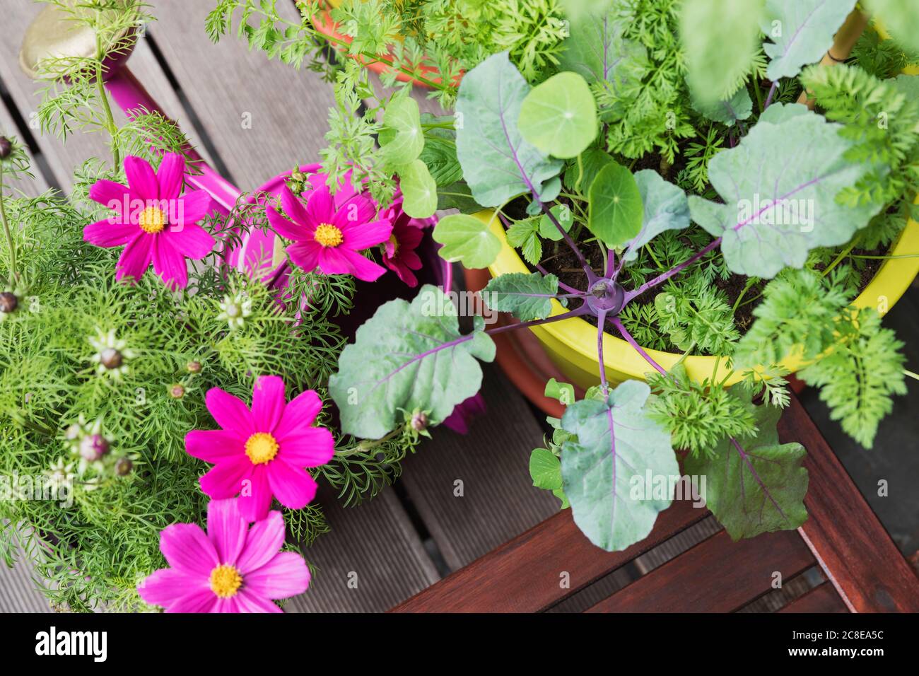 Fiori e verdure che crescono sul giardino del balcone Foto Stock