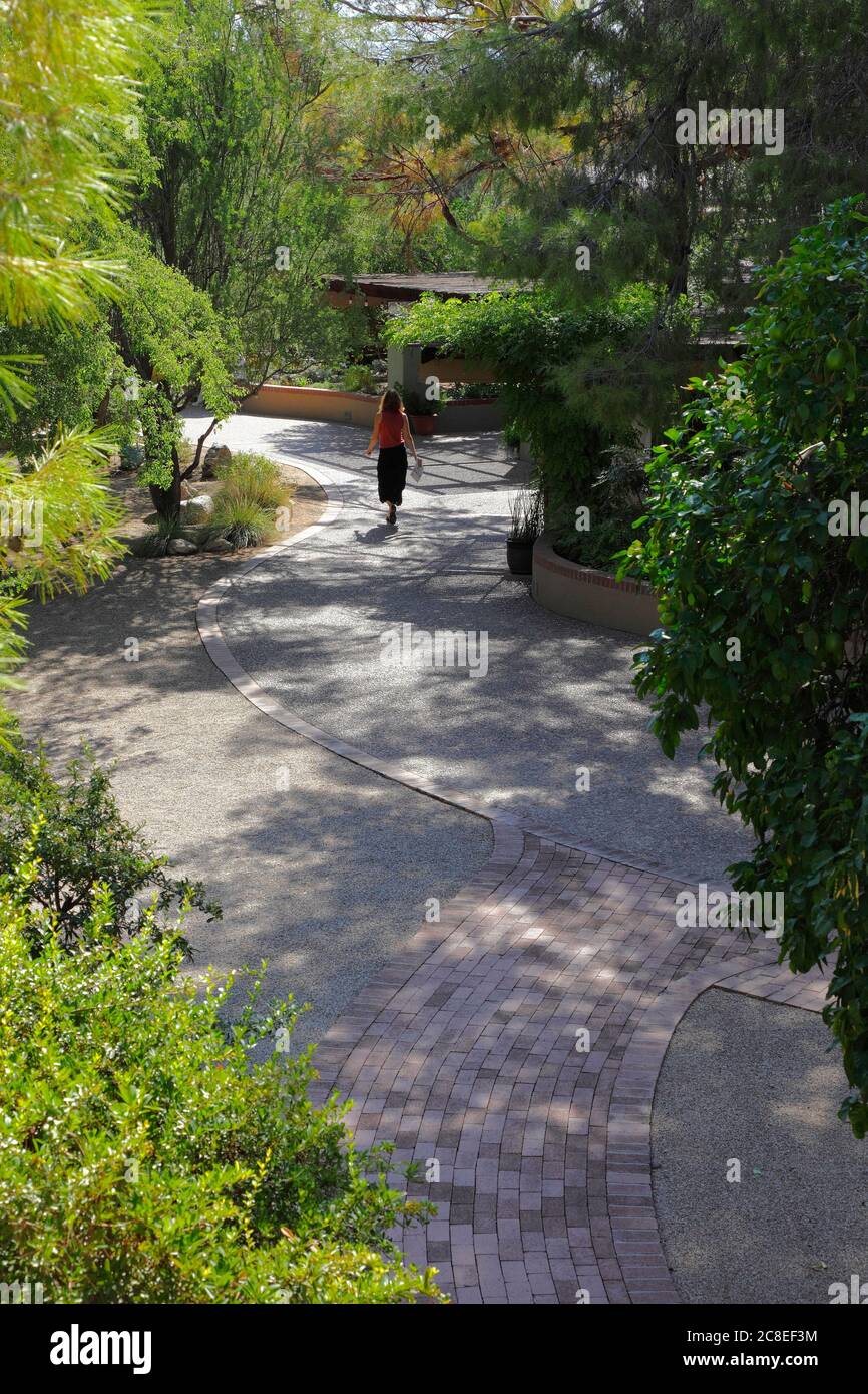 Tucson Botanical Gardens Tucson AZ / SEPT una panoramica di un visitatore solita che cammina lungo il percorso Ironwood nella retroilluminazione mattutina. Foto Stock