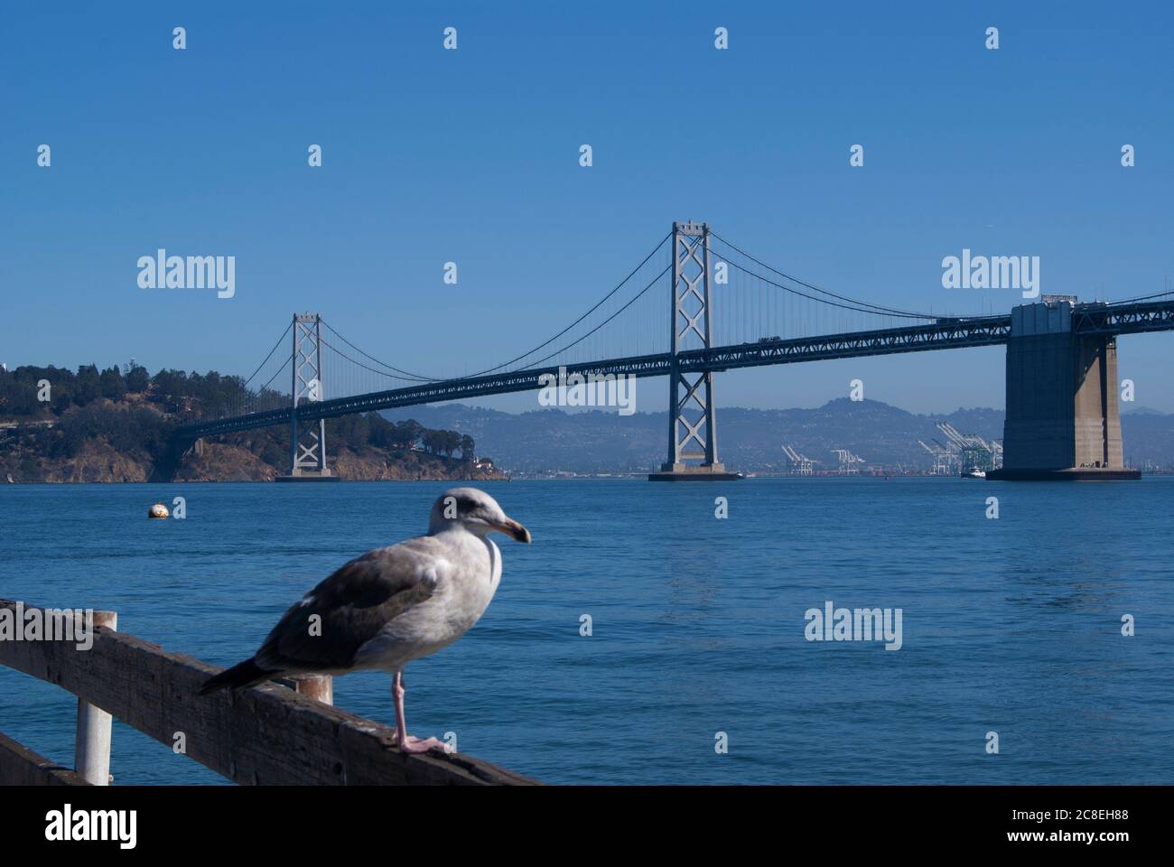Ponte del porto di San Francisco Foto Stock