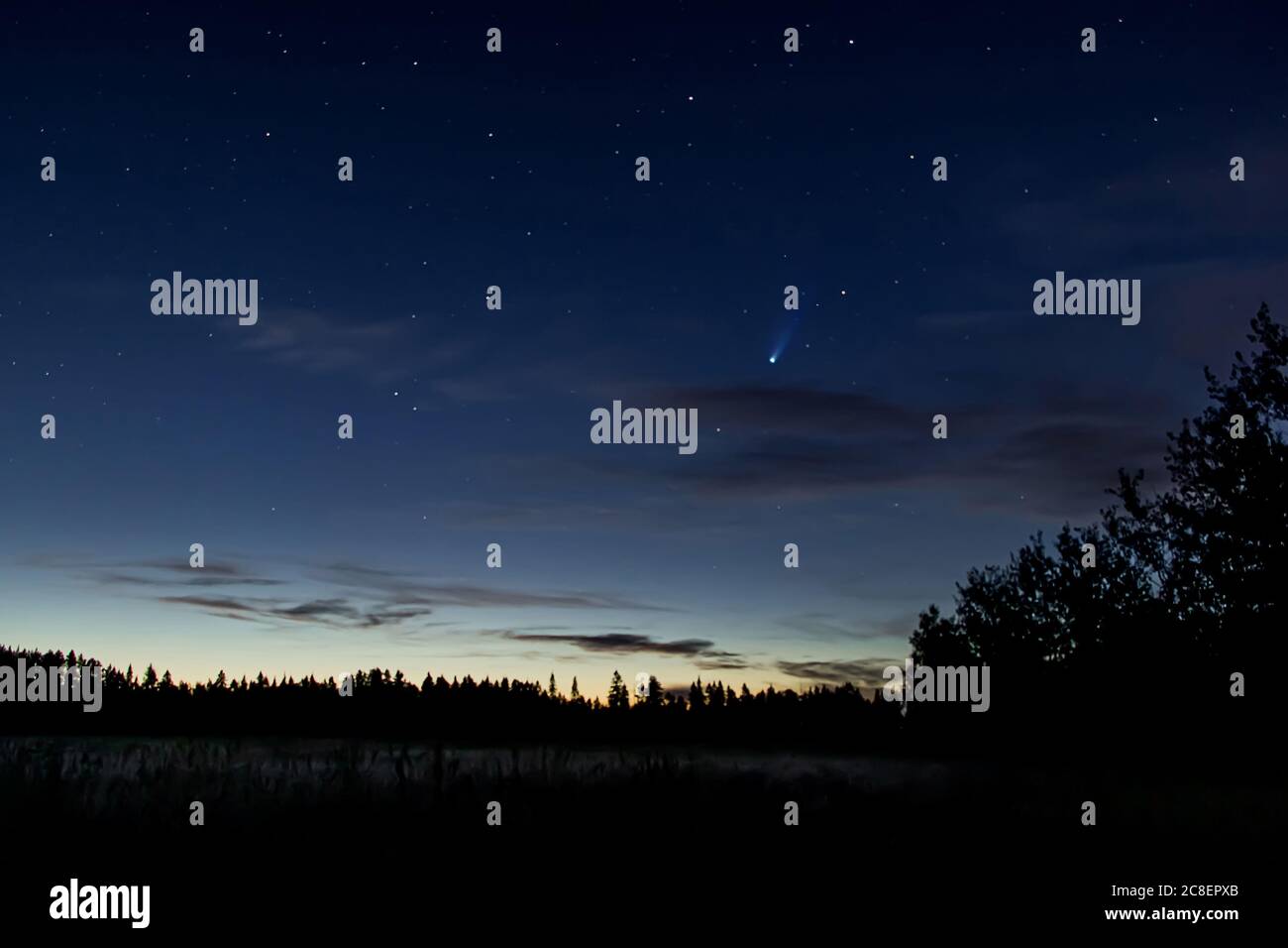 Cometa Neoswise C/2020 F3 e stelle nel cielo notturno. Astrofotografia - veduta di un meteore luminoso, fenomeno astronomico unico. Fuoco selettivo, grana Foto Stock