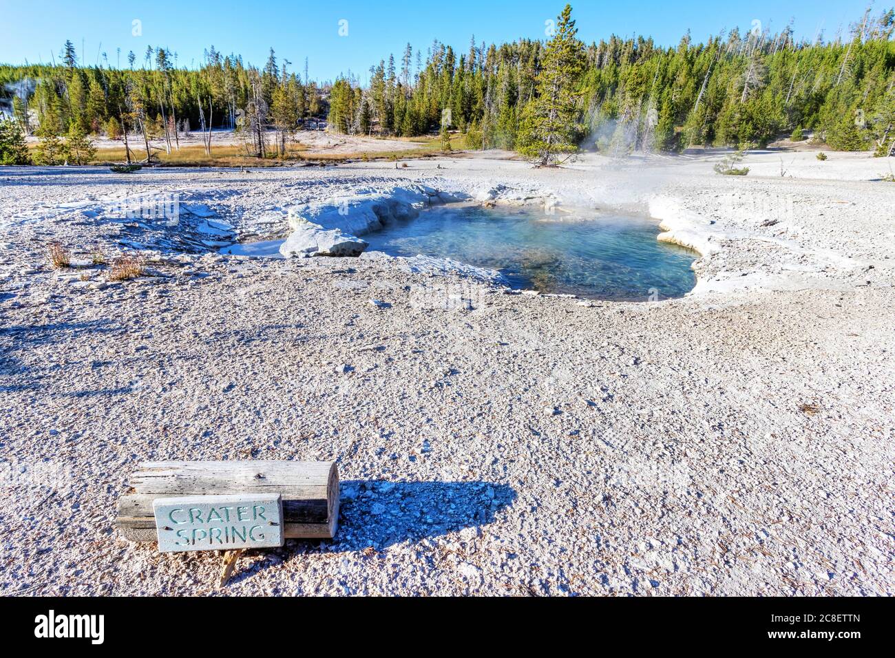 Il vapore caldo sorge dalla sorgente del cratere nel Norris Geyser Basin al Yellowstone National Park, Wyoming, USA Foto Stock