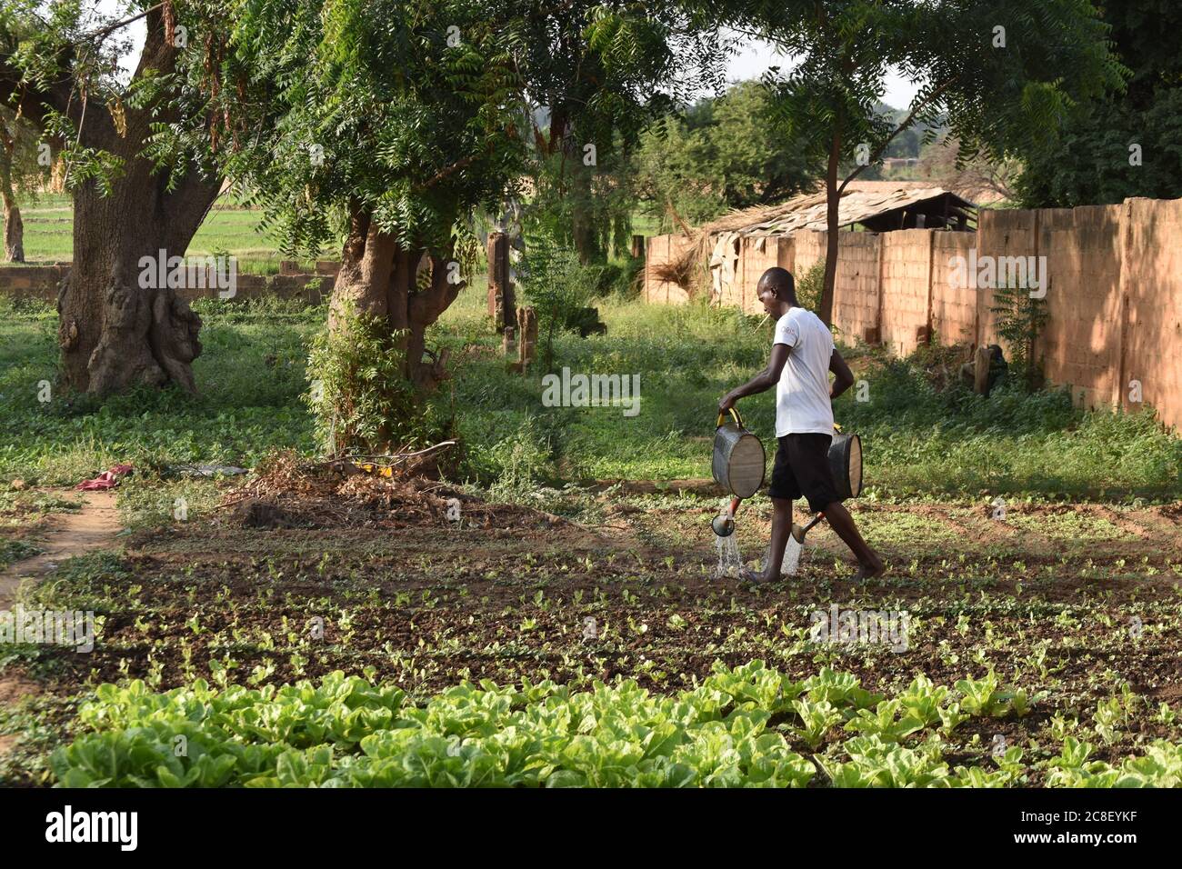 Un uomo affetta a mano il suo orto in Niger, Africa occidentale Foto Stock