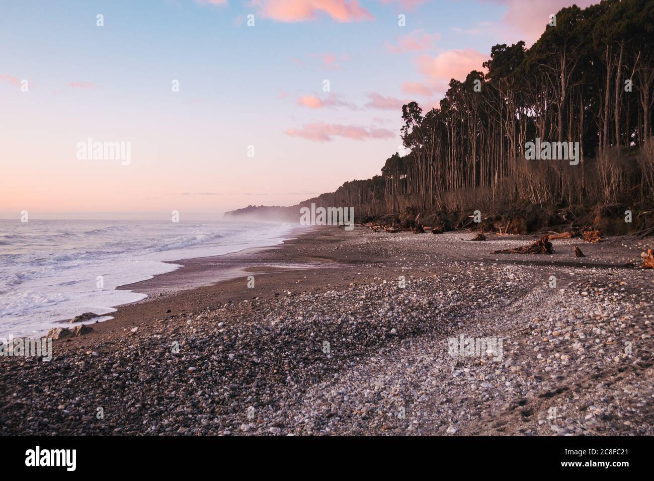 La fitta foresta di rimu (conifere) incontra il mare alla spiaggia di Bruce Bay / Mahitahi, sulla costa occidentale selvaggia della Nuova Zelanda Foto Stock