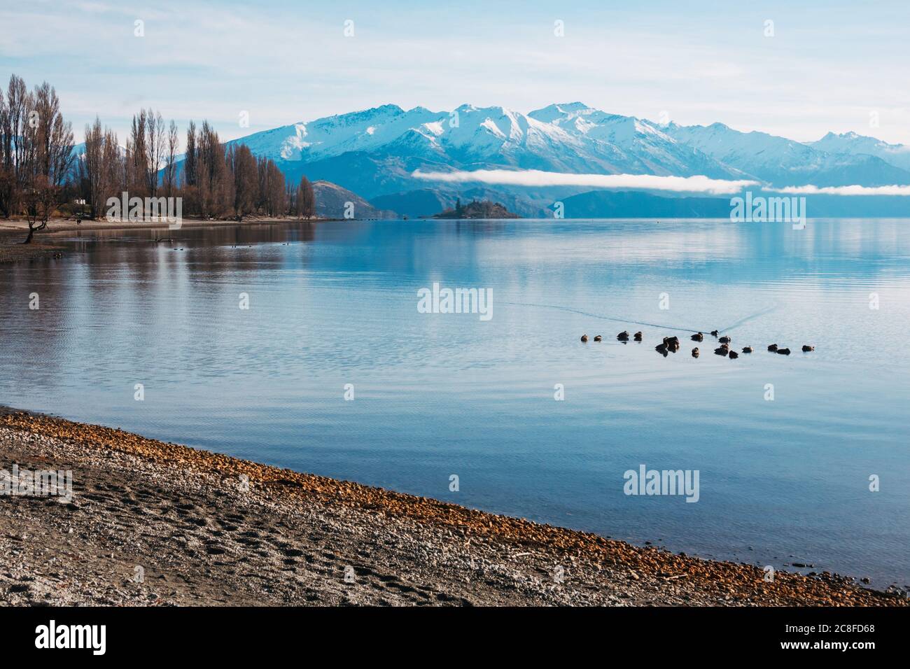 Anatre su un lago perfettamente fermo e glassoso Wanaka una mattina d'inverno, Nuova Zelanda Foto Stock
