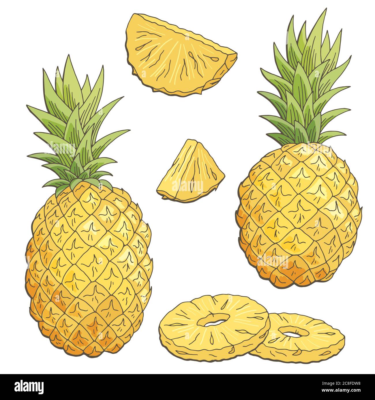 Vettore grafico di illustrazione dello schizzo isolato con colore di frutta di ananas Illustrazione Vettoriale