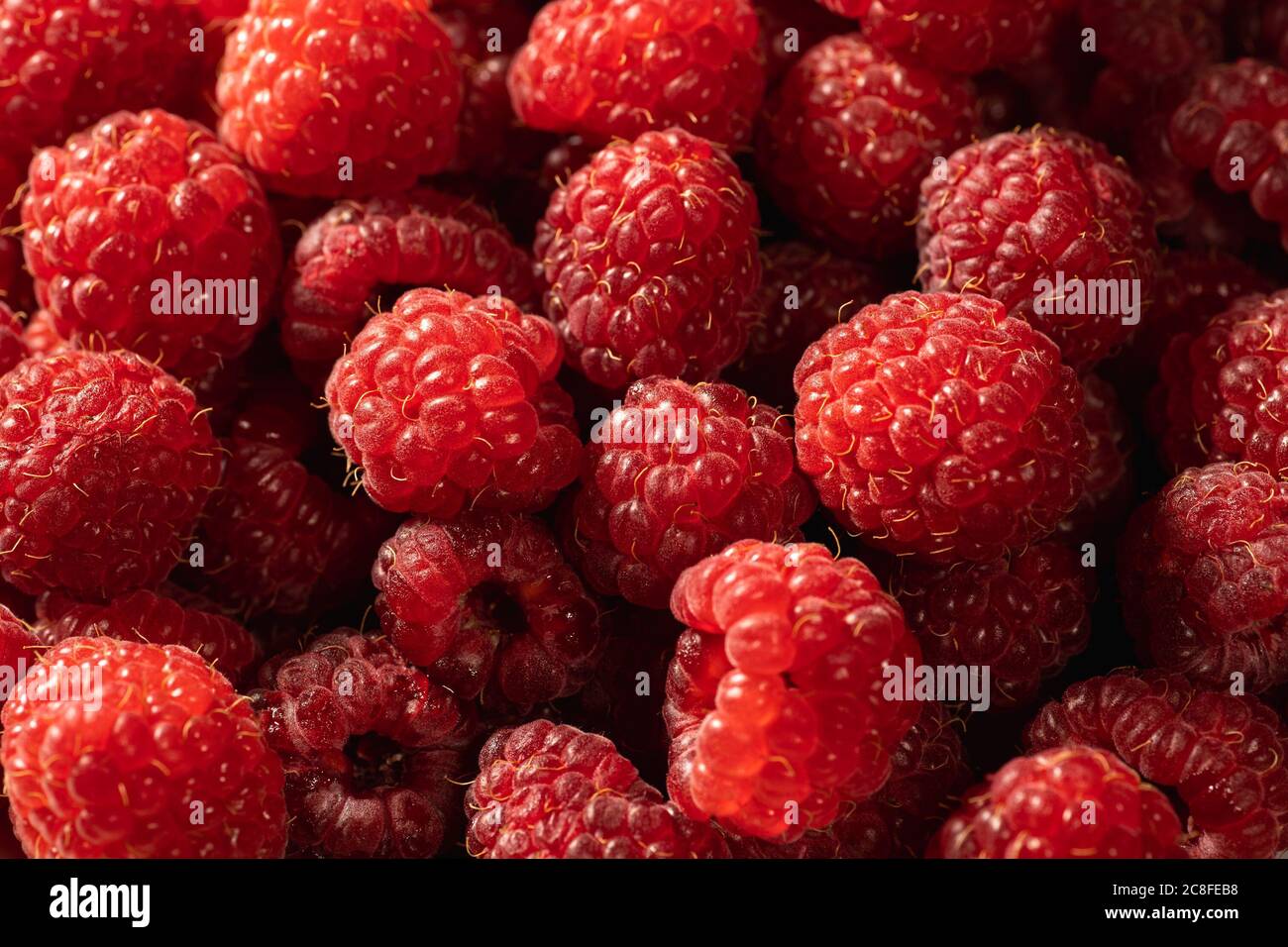 Frutta fresca rossa di lamponi come base organica e vitamina alimentare, primo piano. Foto Stock