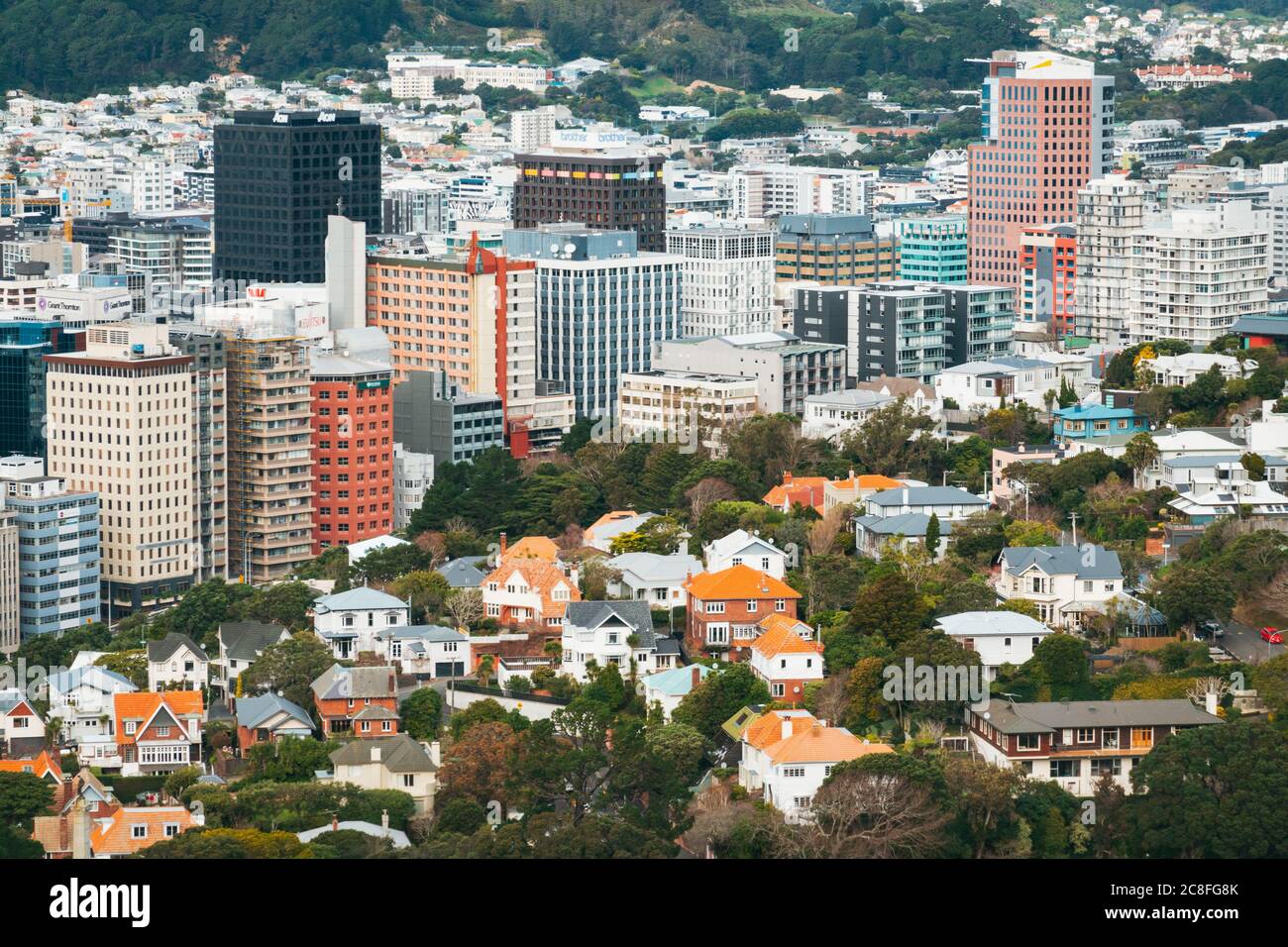 Case di legno e mattoni contro i blocchi di cemento rettangolari in Wellington, Nuova Zelanda Foto Stock