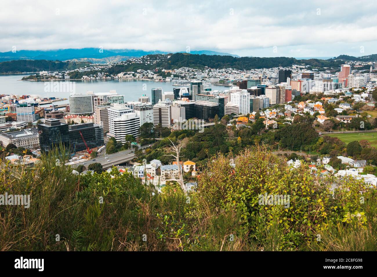 Wellington, la capitale della Nuova Zelanda, e il suo porto, come si vede dalla passeggiata Nord sulla te Ahumairangi Hill Reserve, parte della cintura cittadina Foto Stock