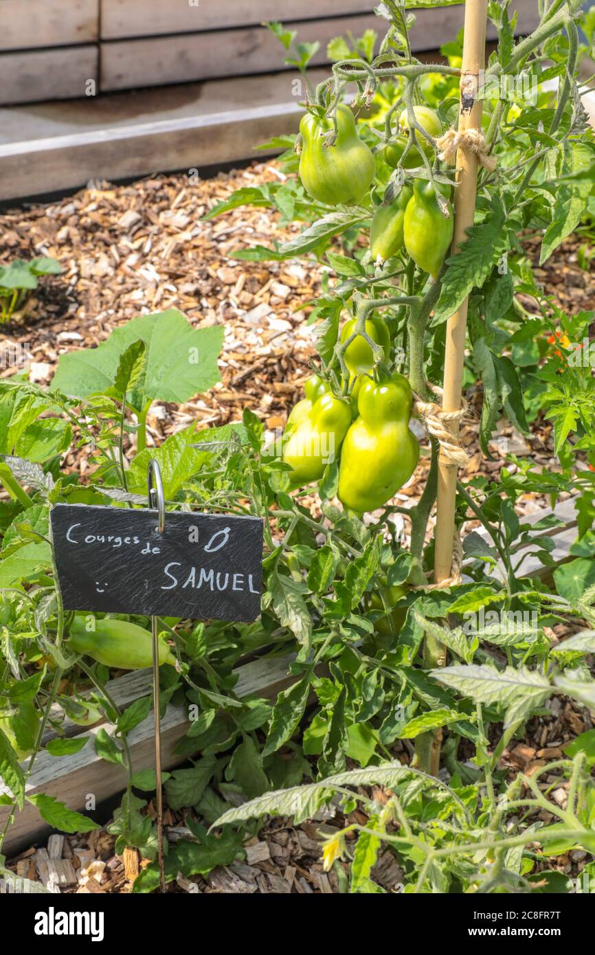 LA PIÙ GRANDE FATTORIA URBANA DEL MONDO STA ARRIVANDO SU UN TETTO DI PARIGI Foto Stock