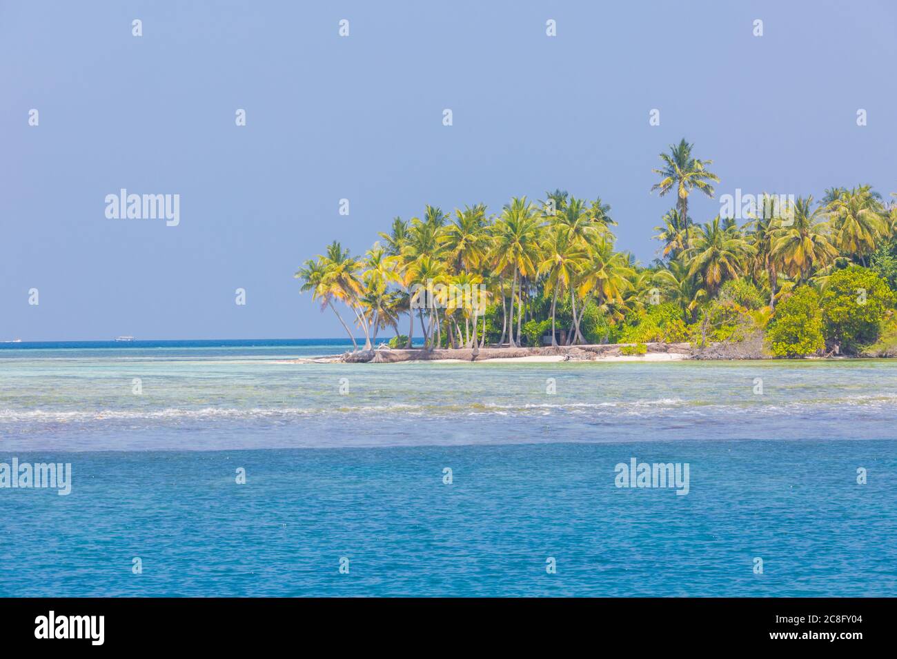 Spiaggia esotica su un'isola tropicale tra palme, laguna mare con barriera corallina. Splendido paesaggio sulla spiaggia, spazio per le copie, destinazione paradisiaca Foto Stock