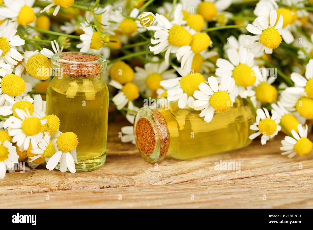 concetto di omeopatia con bottiglie e fiori di camomilla su legno Foto Stock