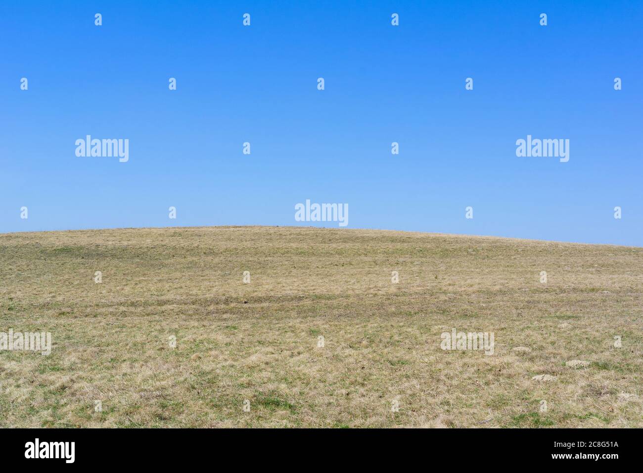 Paesaggio minimalista - orizzonte curvo di prato / campo con erba falciata e cielo blu chiaro. Campagna durante la stagione primaverile Foto Stock