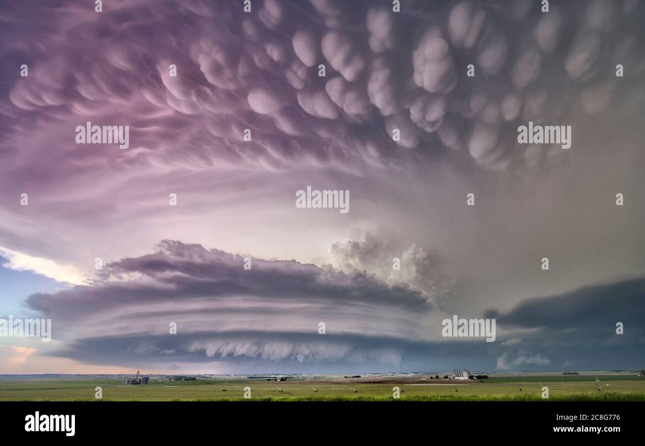 Un enorme tornado super-cella con mammatus, arcus, nube di coda e nuvola di parete, illuminato al tramonto con colori rosa e blu Foto Stock