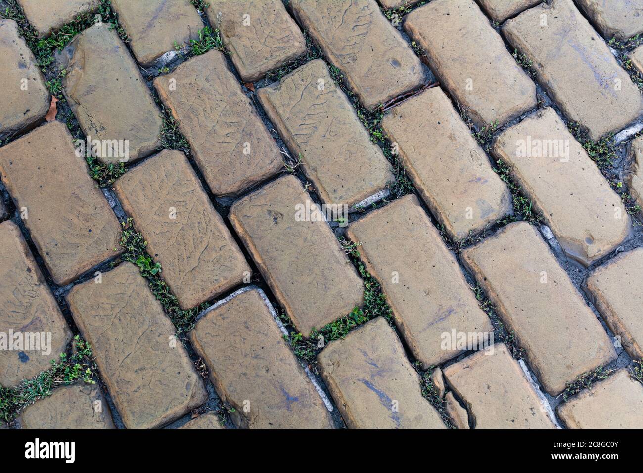 Vista dall'alto su strada in pietra bagnata per pavimentazione. Vecchio pavimento di granito texture. Strada acciottolata marciapiede a Odessa. Sfondo astratto per il design. Foto Stock