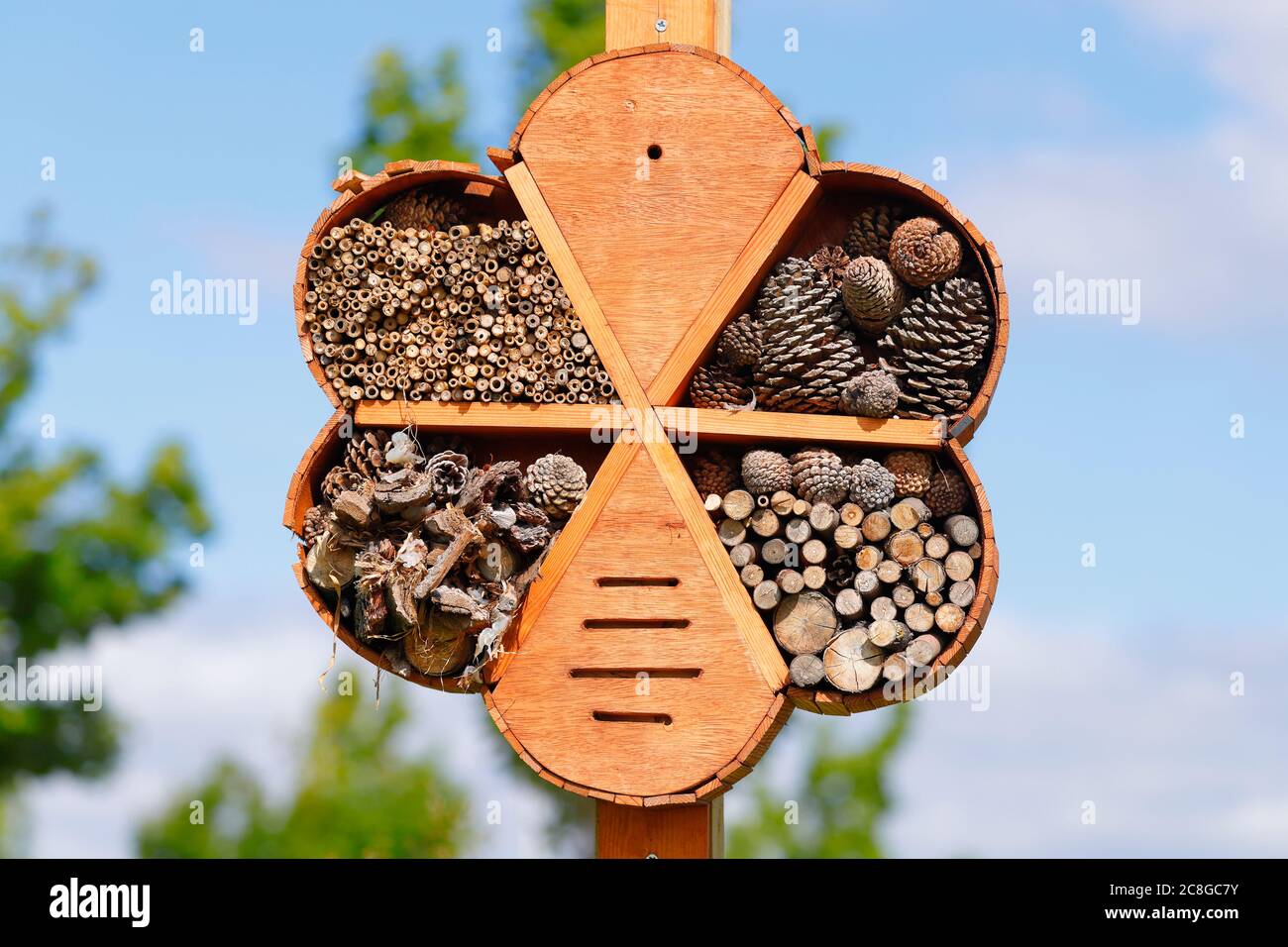 Un hotel artificiale di bug fatto con canne di bambù e coni di pino Foto Stock