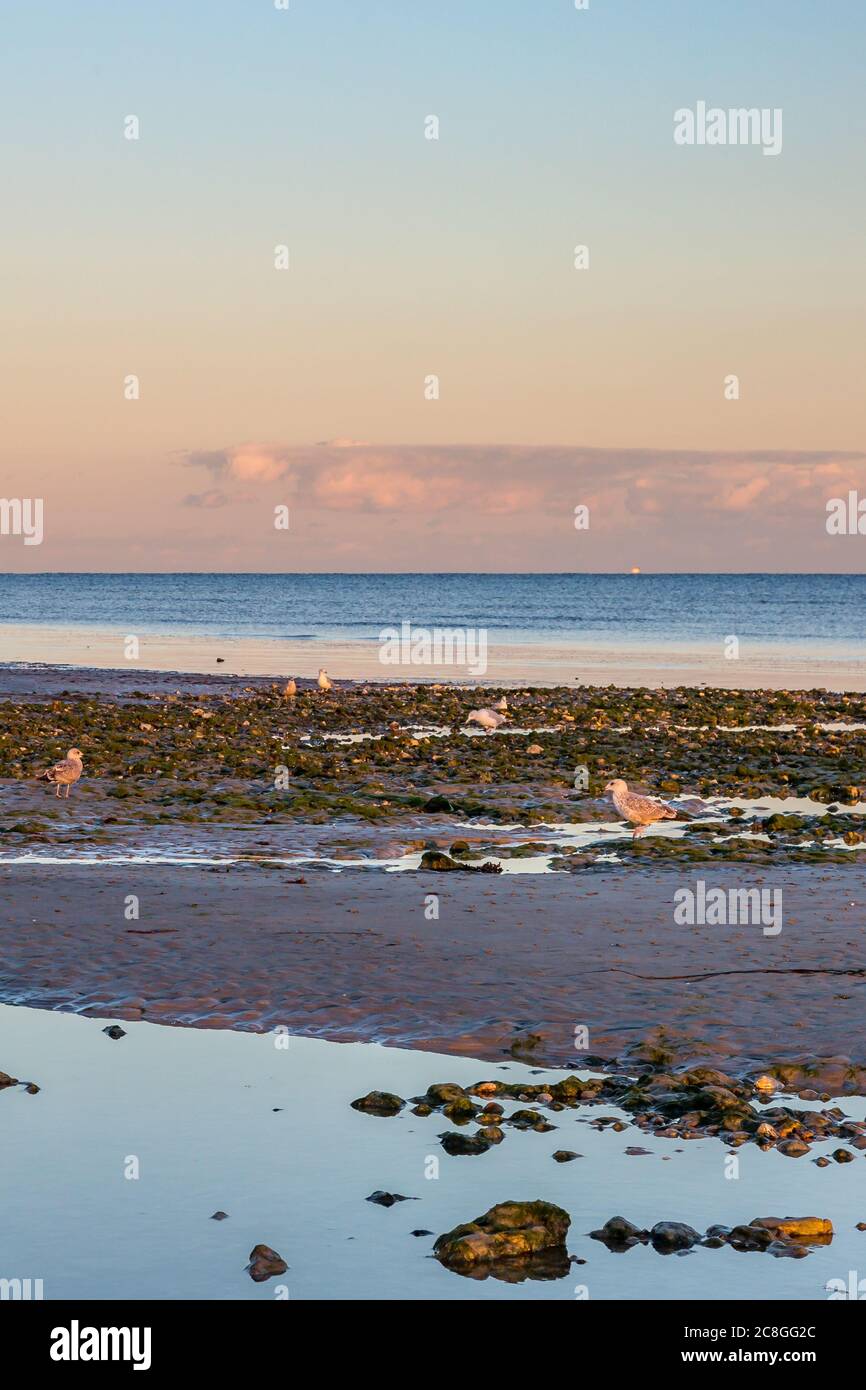 Bassa marea al tramonto, sulla spiaggia di Worthing nel Sussex occidentale Foto Stock