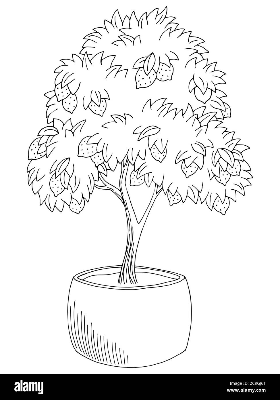 Limone albero frutta grafica nero bianco isolato schizzo illustrazione vettore Illustrazione Vettoriale