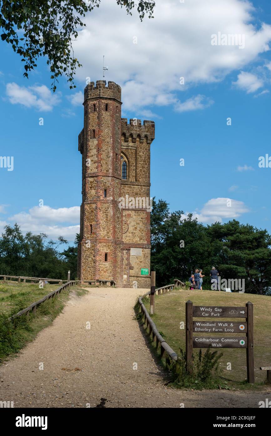 Leith Hill Tower, Surrey, Inghilterra, Regno Unito, durante l'estate Foto Stock