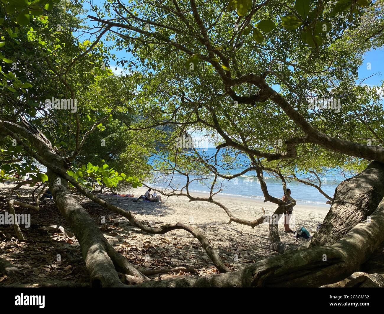 Una spiaggia paradisiaca con alcuni alberi al Costa Rica Pacifico con bene Foto Stock