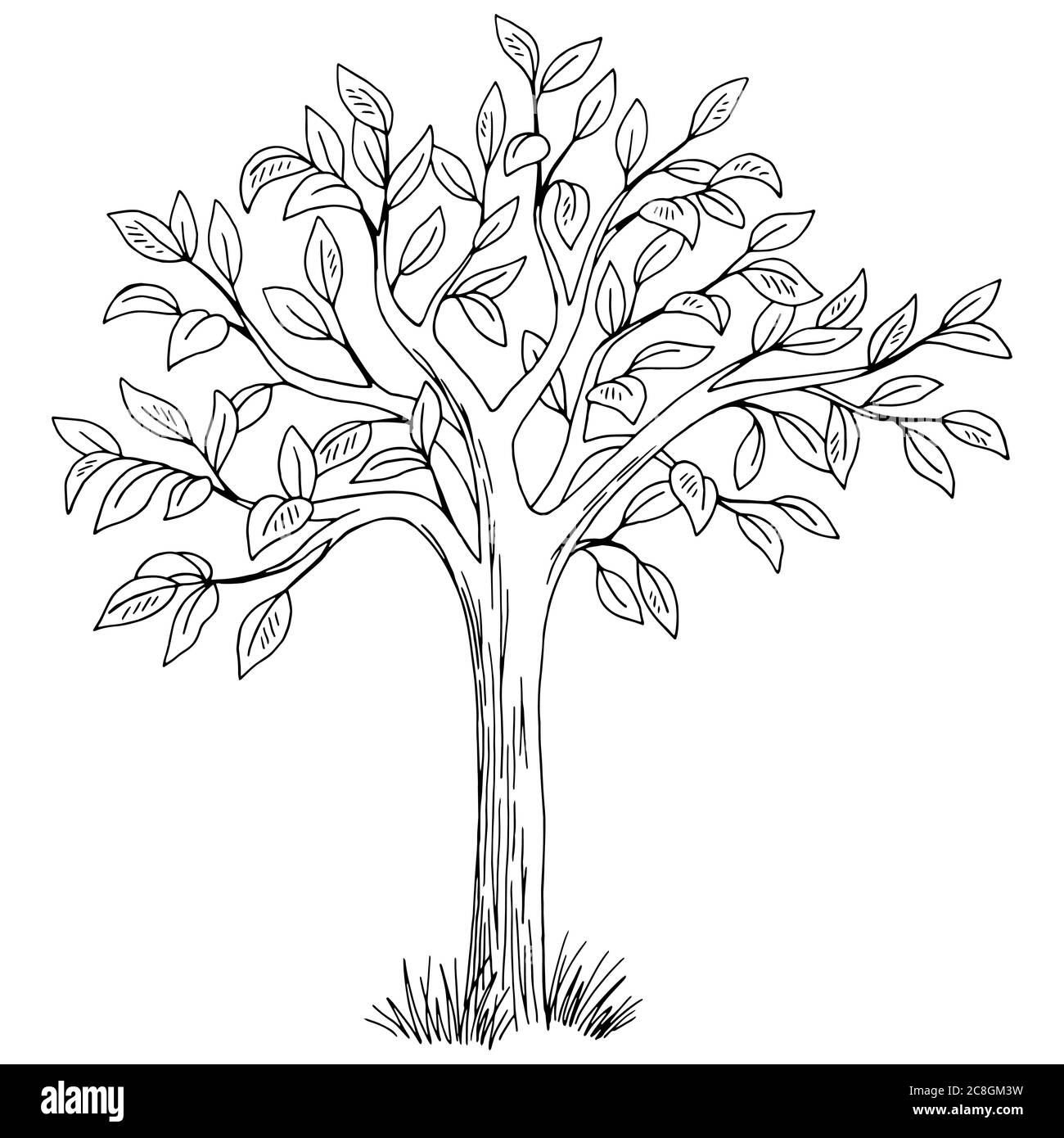 Grafico ad albero vettore di illustrazione dello schizzo isolato in bianco nero Illustrazione Vettoriale