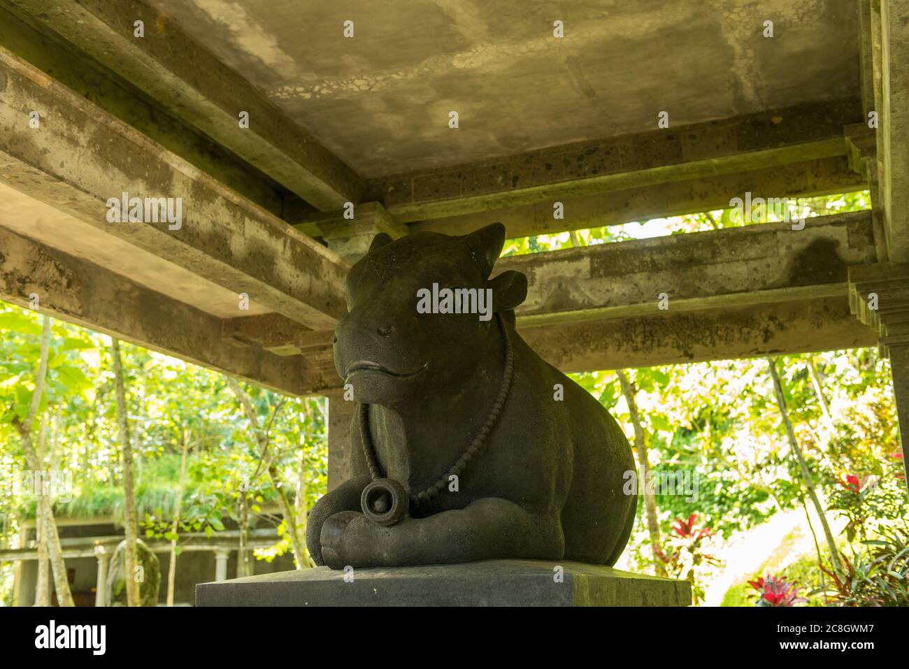 Vista della Foresta delle scimmie sacre a Ubud Foto Stock