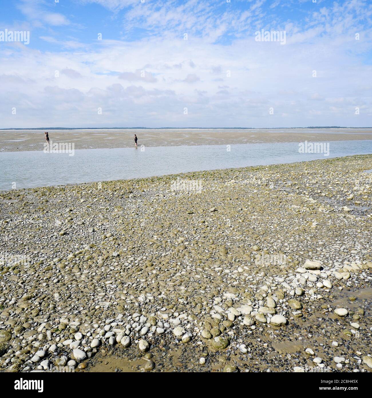 Baia di Somme a bassa marea, le Hourdel, Cayeux sur Mer, Somme, Hauts-de-France, Francia Foto Stock