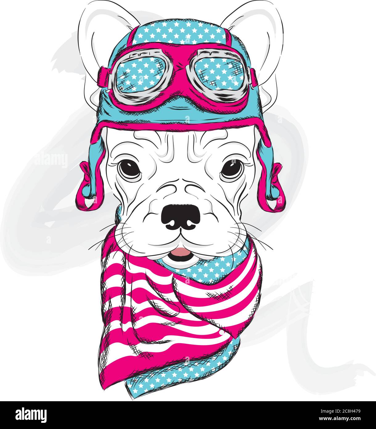 Un cane con un casco e una sciarpa. Il biker. Pitbull. Illustrazione  vettoriale Immagine e Vettoriale - Alamy