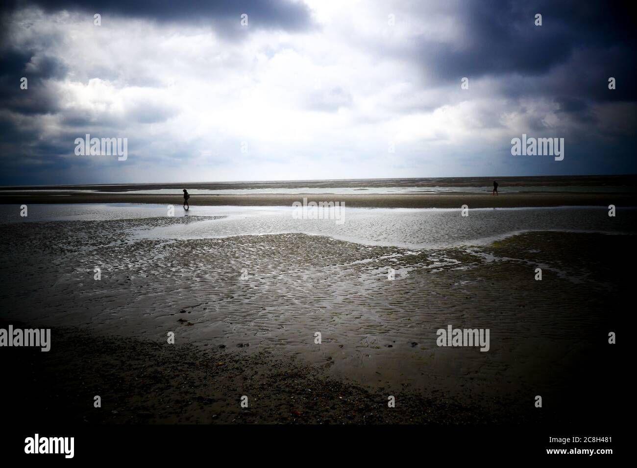 Baia di Somme a bassa marea, le Hourdel, Cayeux sur Mer, Somme, Hauts-de-France, Francia Foto Stock