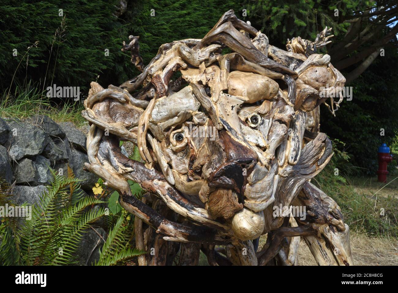 Victoria, British Columbia, Canada 24 luglio 2020 - UNA scultura di un leone, costruita in driftwood, kelp e scale di cono di pino da parte del residente e artista locale Tanya Bub, si trova lungo il marciapiede fuori dalla casa di Bub, attirando l'attenzione dei passanti. BUB ha iniziato a mostrare le figure fuori casa dopo la chiusura della galleria a causa di Covid-19. Ha iniziato a realizzare le sculture circa un anno fa e ha creato oltre un 100. I più grandi possono richiedere fino a due settimane per costruire. Alamy Live News/Don Denton Foto Stock