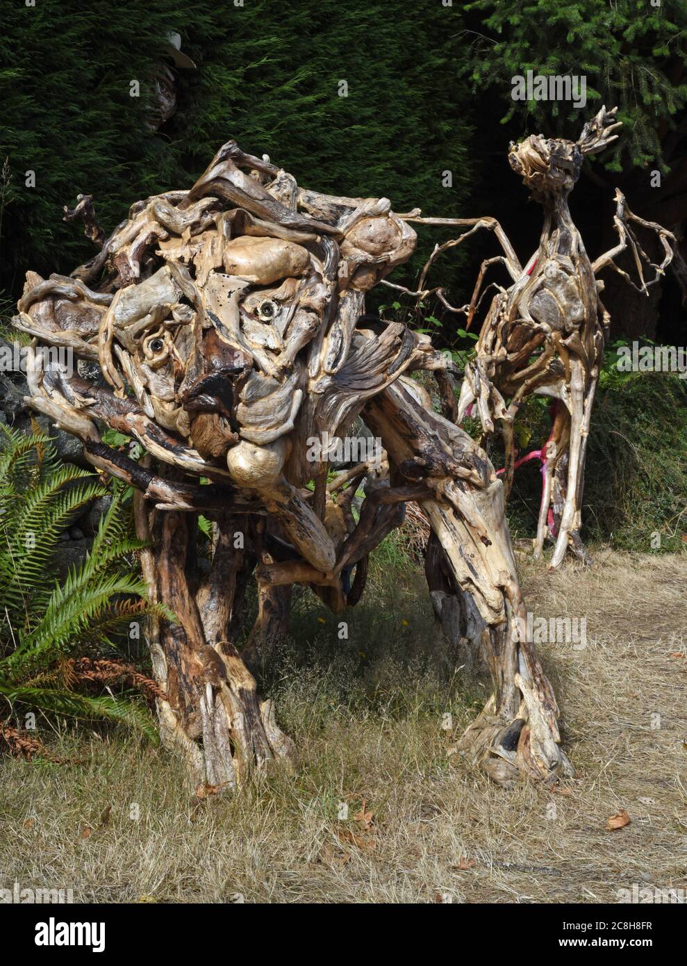 Victoria, British Columbia, Canada 24 luglio 2020 - sculture di un leone e di un drago, costruite in driftwood, kelp e scale di cono di pino dal residente locale e artista Tanya Bub, si trovano lungo il marciapiede fuori dalla casa di Bub, attirando l'attenzione dei passanti. BUB ha iniziato a mostrare le figure fuori casa dopo la chiusura della galleria a causa di Covid-19. Ha iniziato a realizzare le sculture circa un anno fa e ha creato oltre un 100. I più grandi possono richiedere fino a due settimane per costruire. Alamy Live News/Don Denton Foto Stock