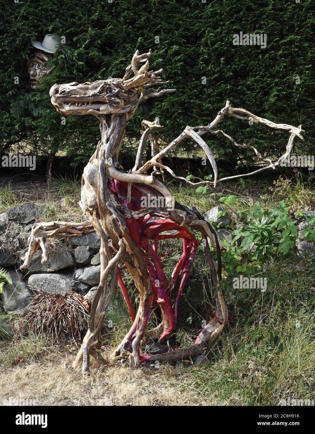 Victoria, British Columbia, Canada 24 luglio 2020 - sculture di un drago e di una testa con un cappello da cowboy, costruite in driftwood, kelp e scale di cono di pino dal residente locale e artista Tanya Bub, si siedono lungo il marciapiede fuori casa di Bub, attirando l'attenzione dei passanti. BUB ha iniziato a mostrare le figure fuori casa dopo la chiusura della galleria a causa di Covid-19. Ha iniziato a realizzare le sculture circa un anno fa e ha creato oltre un 100. I più grandi possono richiedere fino a due settimane per costruire. Alamy Live News/Don Denton Foto Stock