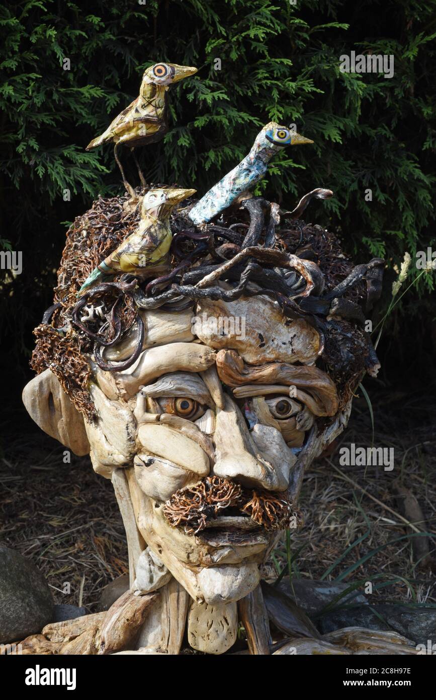 Victoria, British Columbia, Canada 24 luglio 2020 - UNA scultura di una testa con uccelli in cima, costruita in driftwood, kelp e scale di cono di pino dal residente locale e artista Tanya Bub, si trova lungo il marciapiede fuori casa di Bub, attirando l'attenzione dei passanti. BUB ha iniziato a mostrare le figure fuori casa dopo la chiusura della galleria a causa di Covid-19. Ha iniziato a realizzare le sculture circa un anno fa e ha creato oltre un 100. I più grandi possono richiedere fino a due settimane per costruire. Alamy Live News/Don Denton Foto Stock